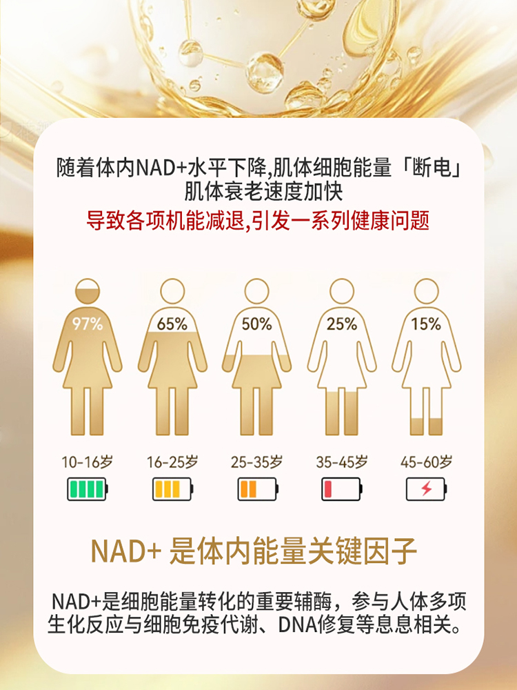 NAD+とNMN抗加齢メカニズム